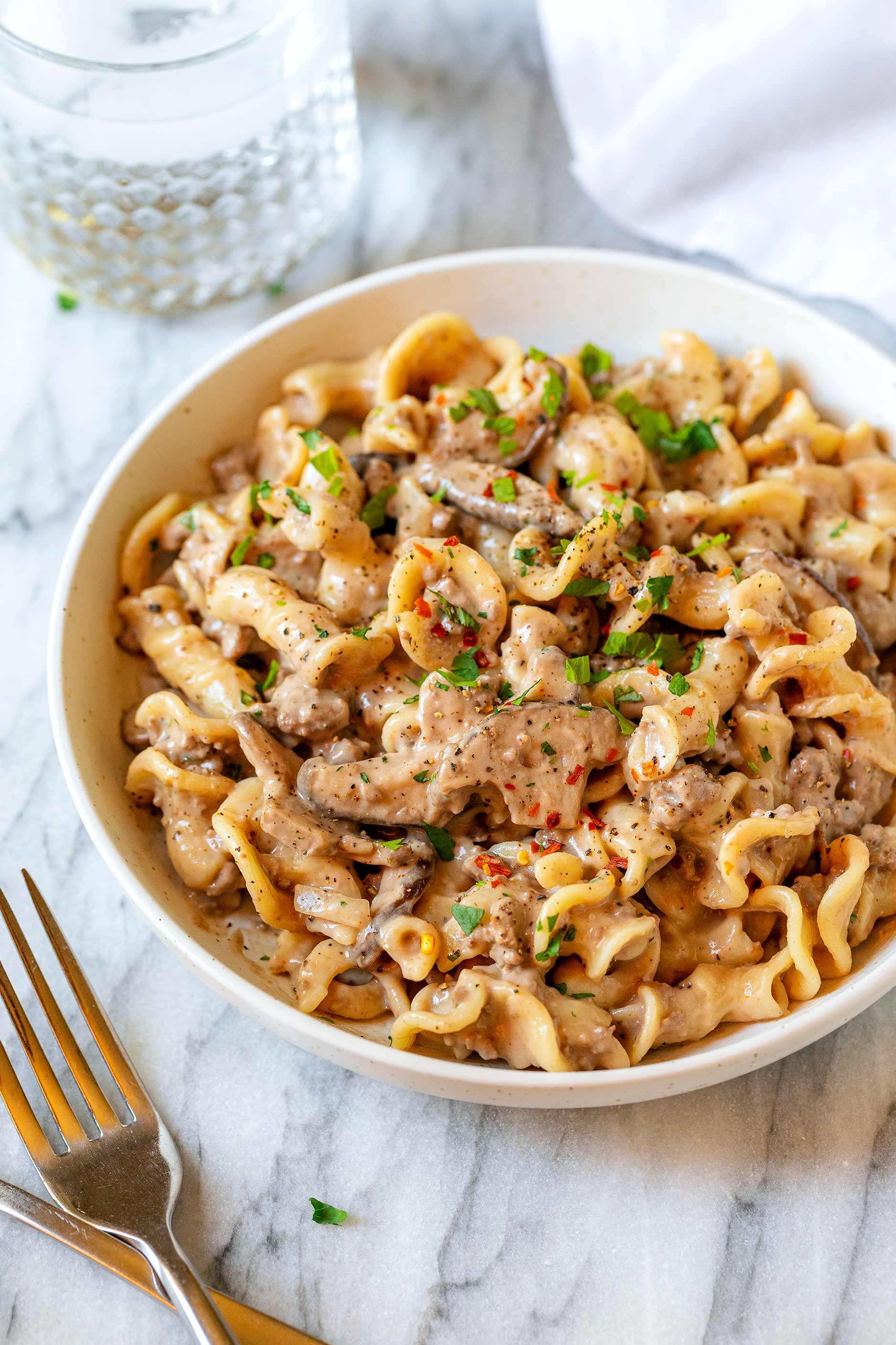 beef stroganoff recipe 1
