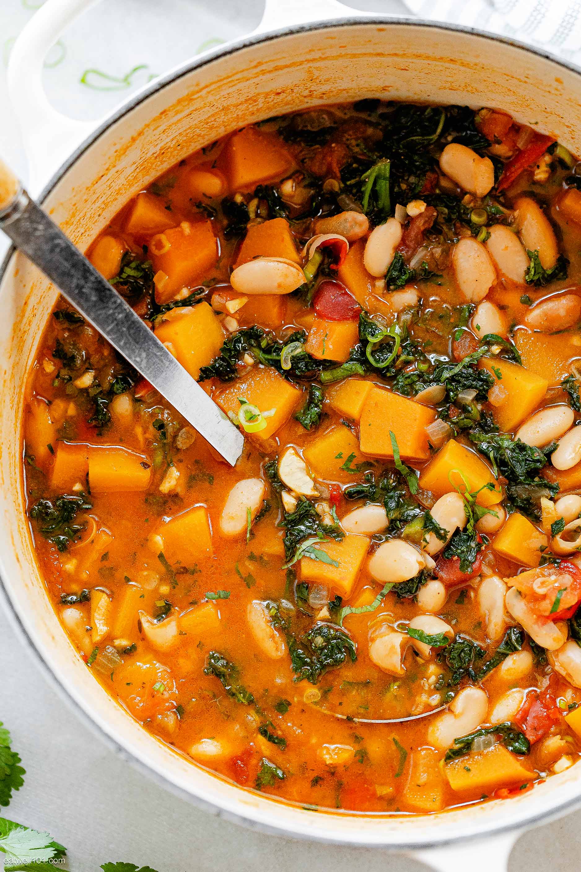 Chili Butternut Squash Soup Recipe with White Beans – Butternut Squash ...