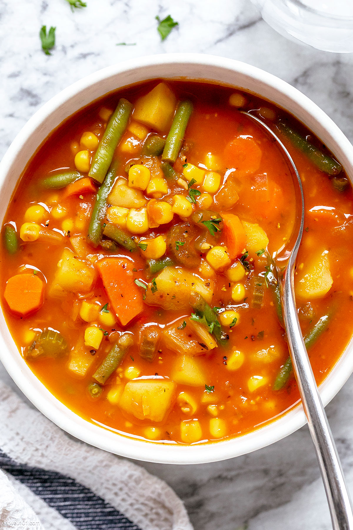 healthy Slow Cooker Vegetable Soup