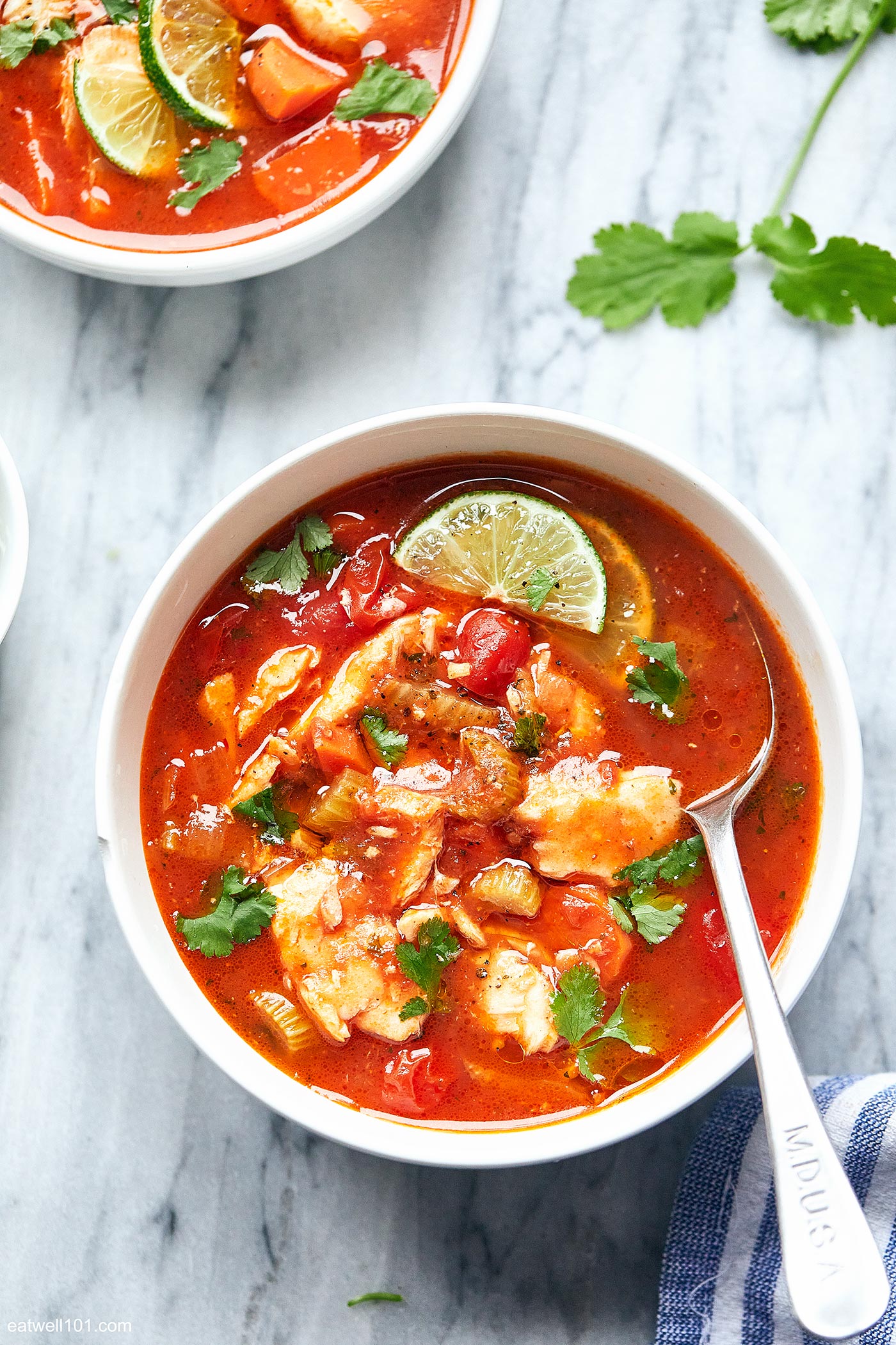 Mediterranean fish soup recipe 1