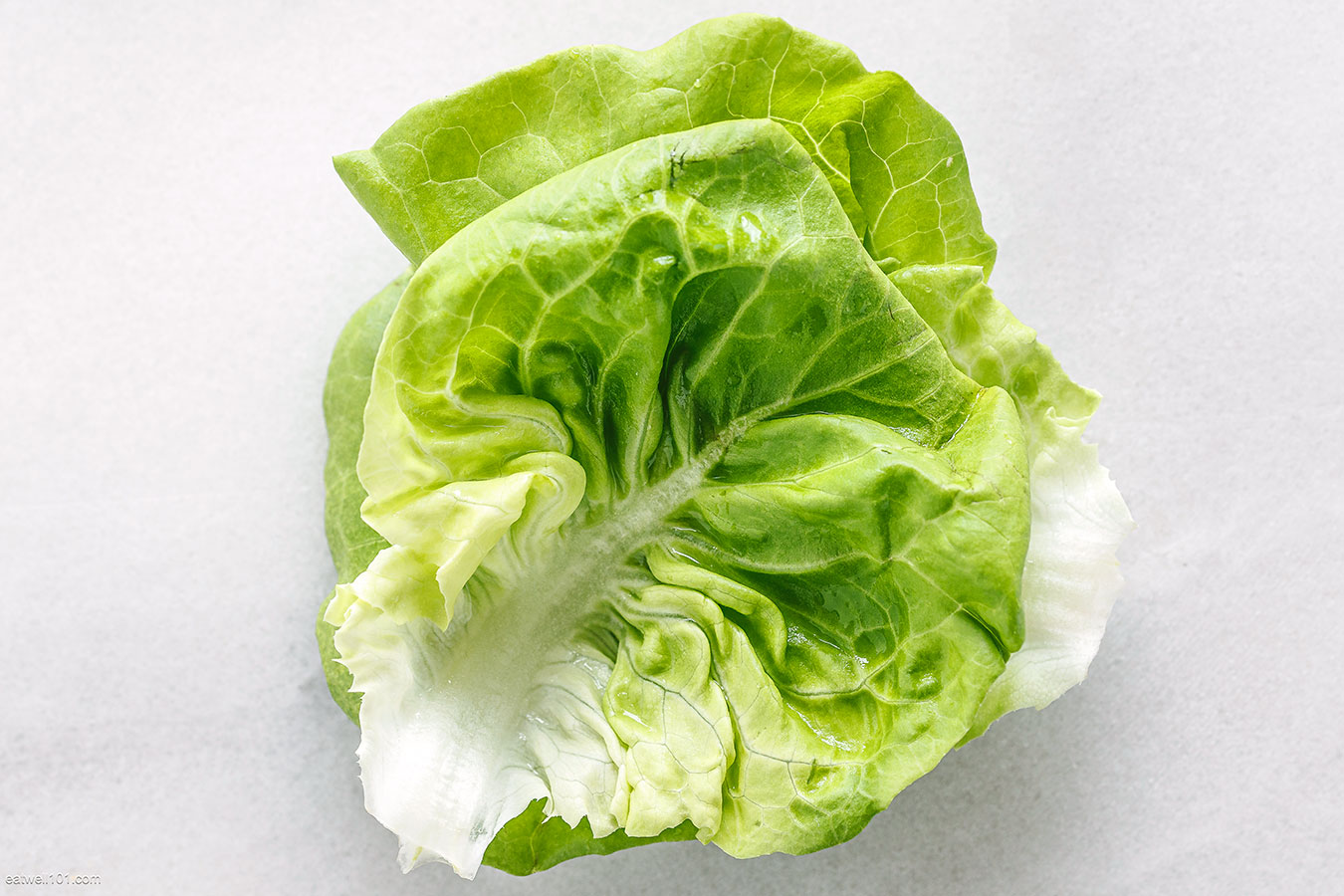 fresh lettuce