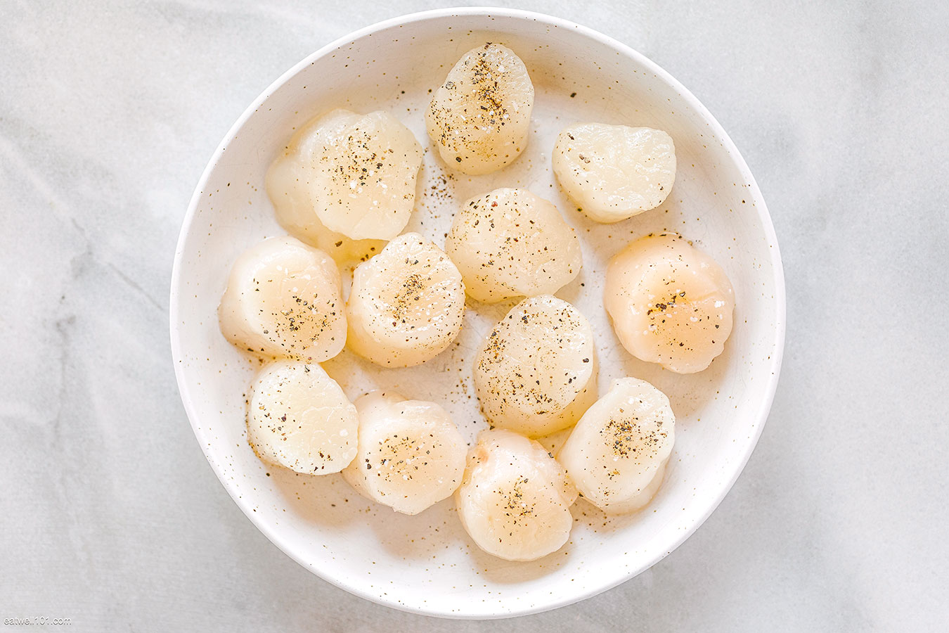 sea scallops fresh