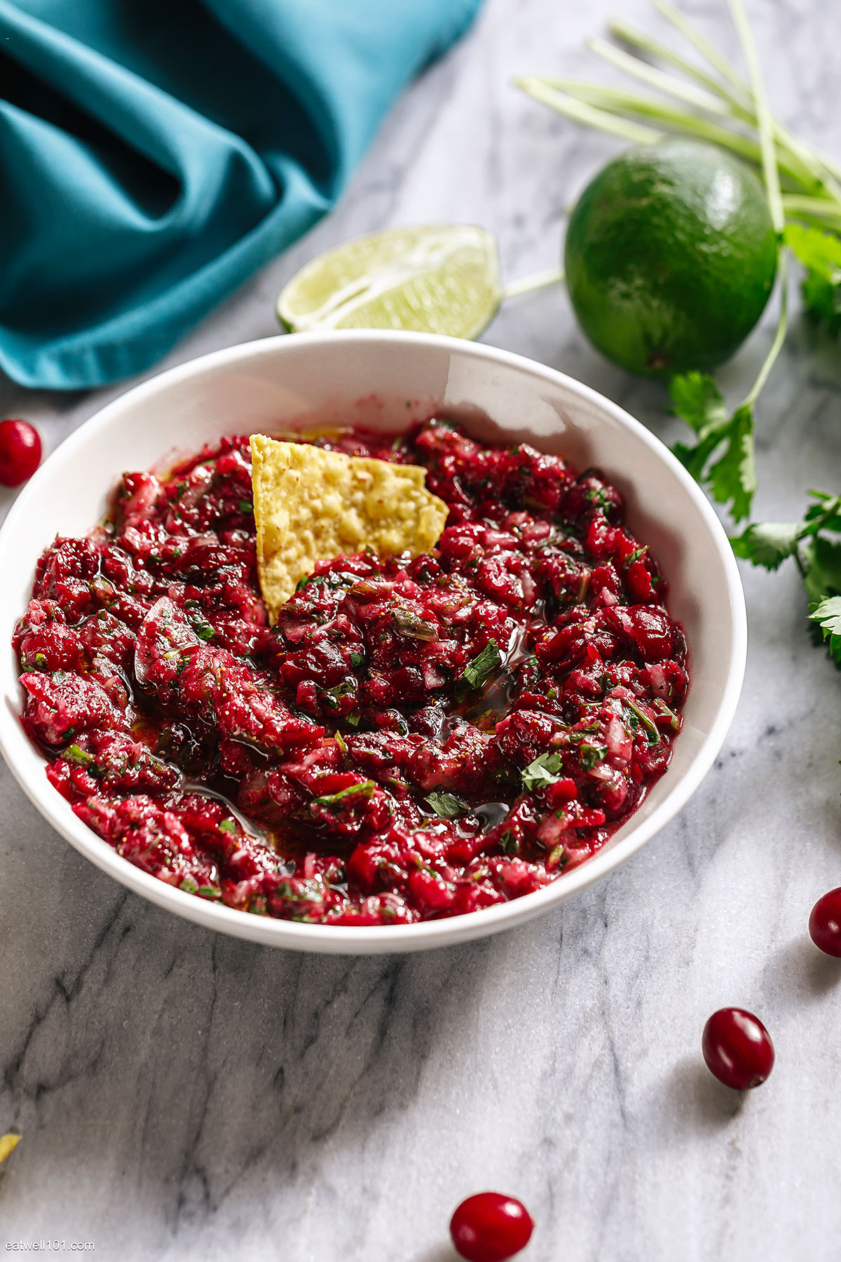 Cranberry Salsa thanksgiving