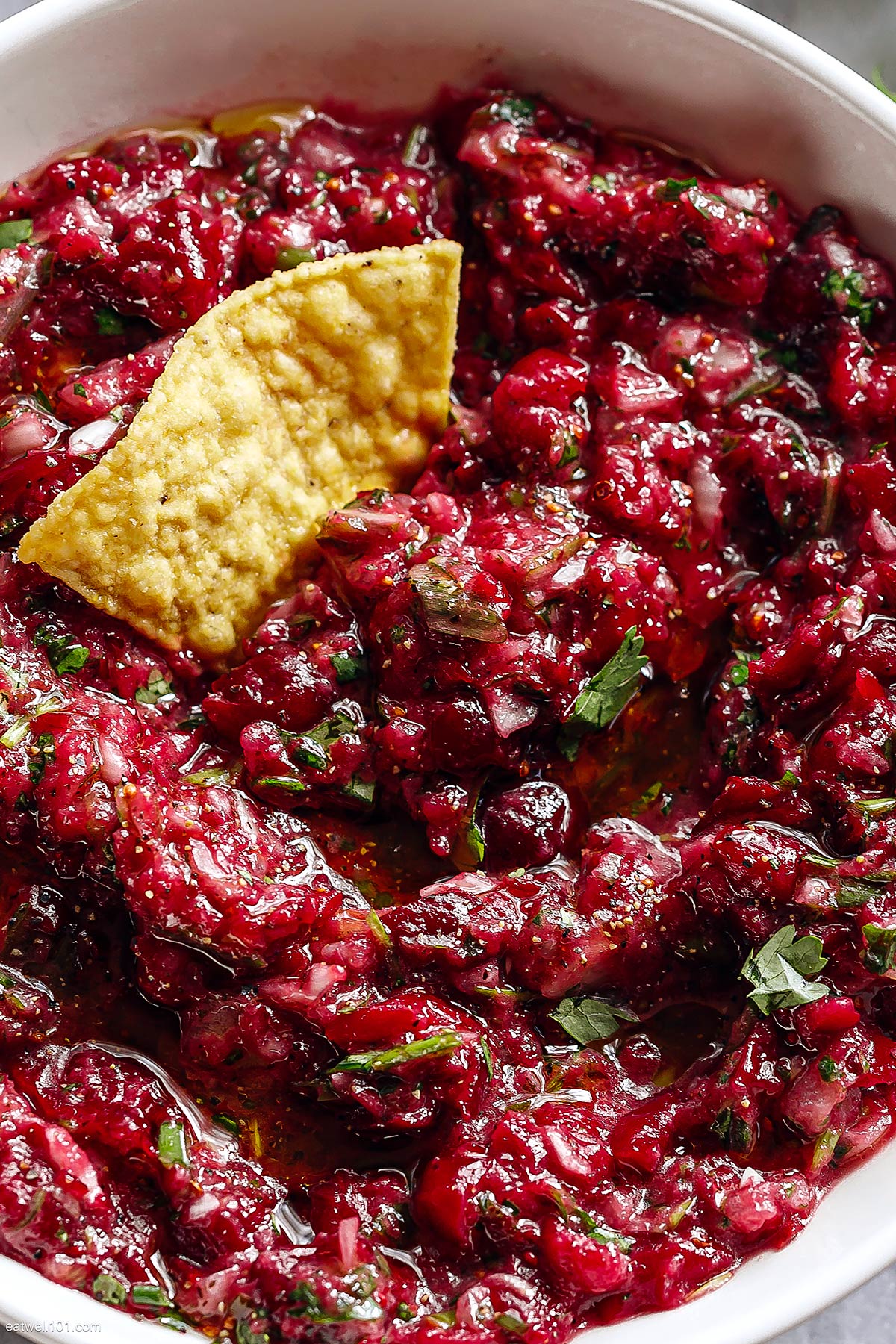 Fresh Cranberry Salsa