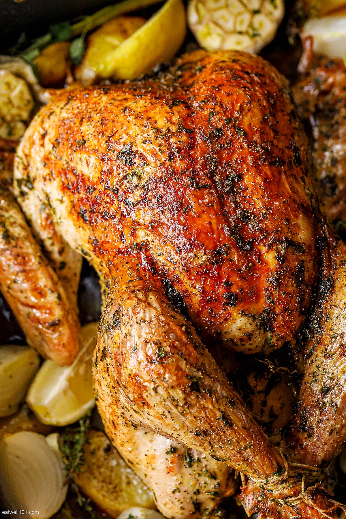 Roast Turkey recipe