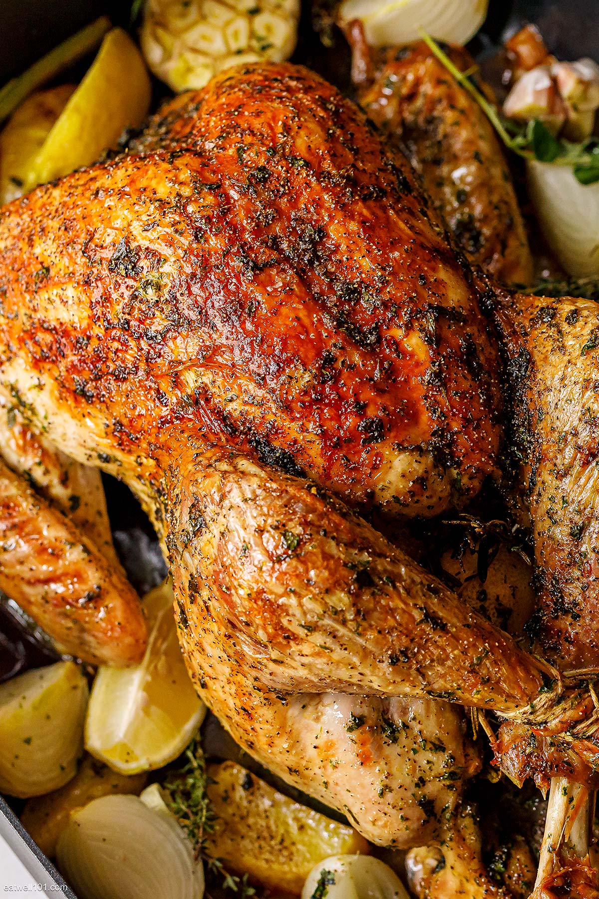 best Roast Turkey