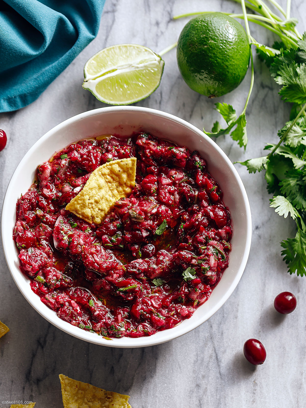 healthy Cranberry Salsa