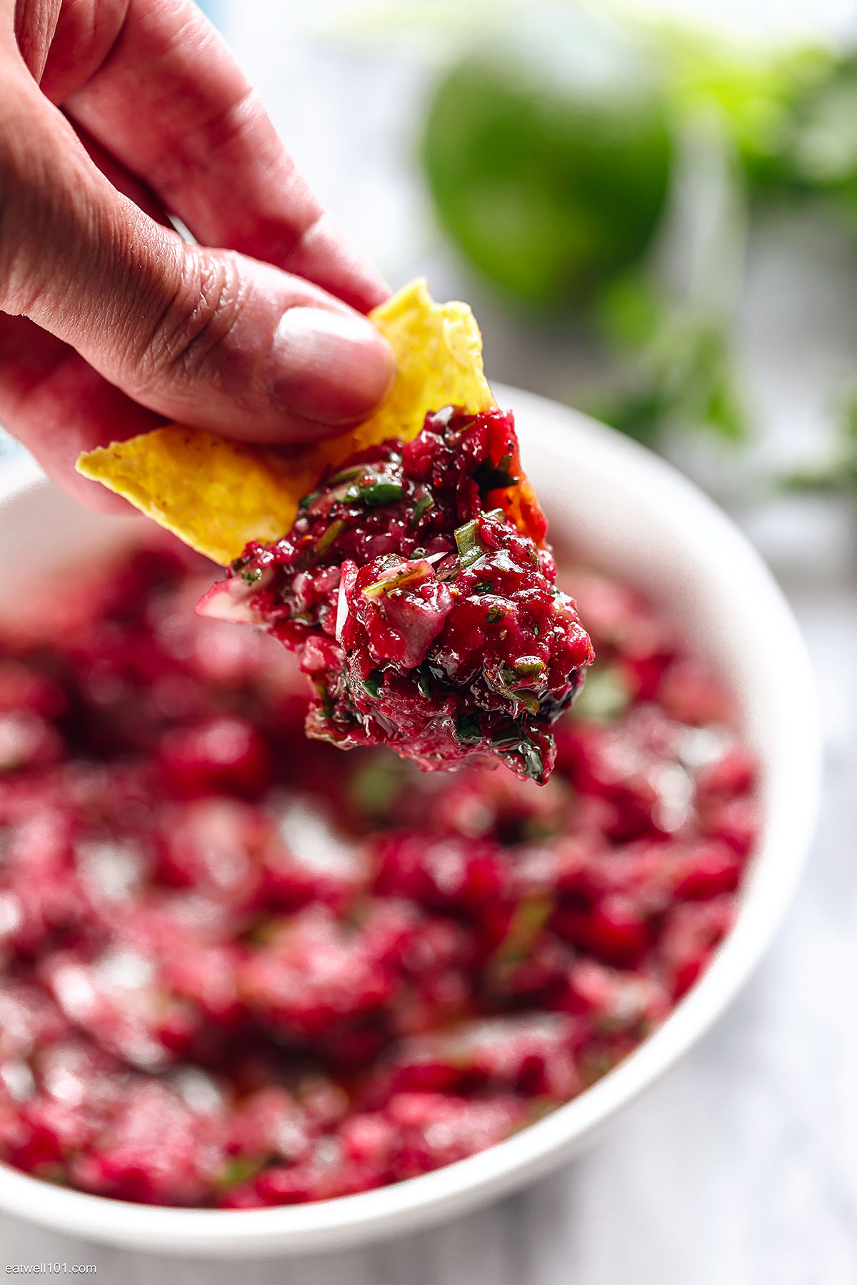 how to make Cranberry Salsa 1