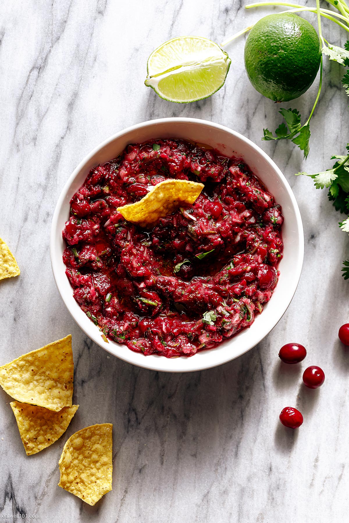 thanksgiving salsa