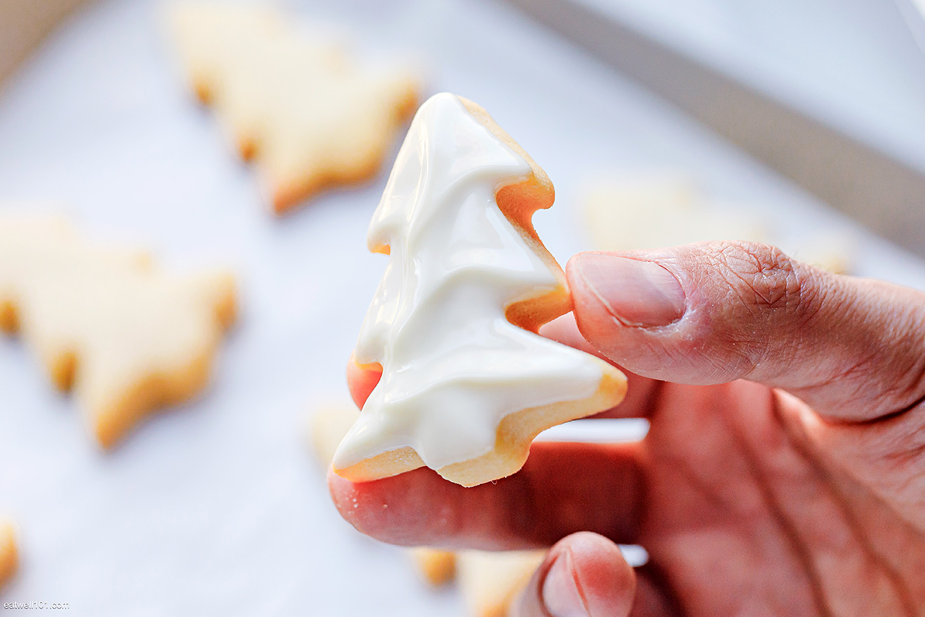 Christmas Sugar Cookies