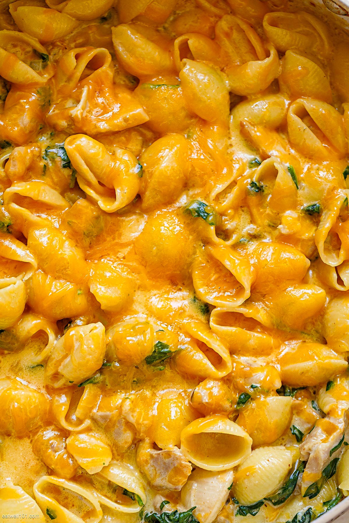 creamy chicken pasta recipe