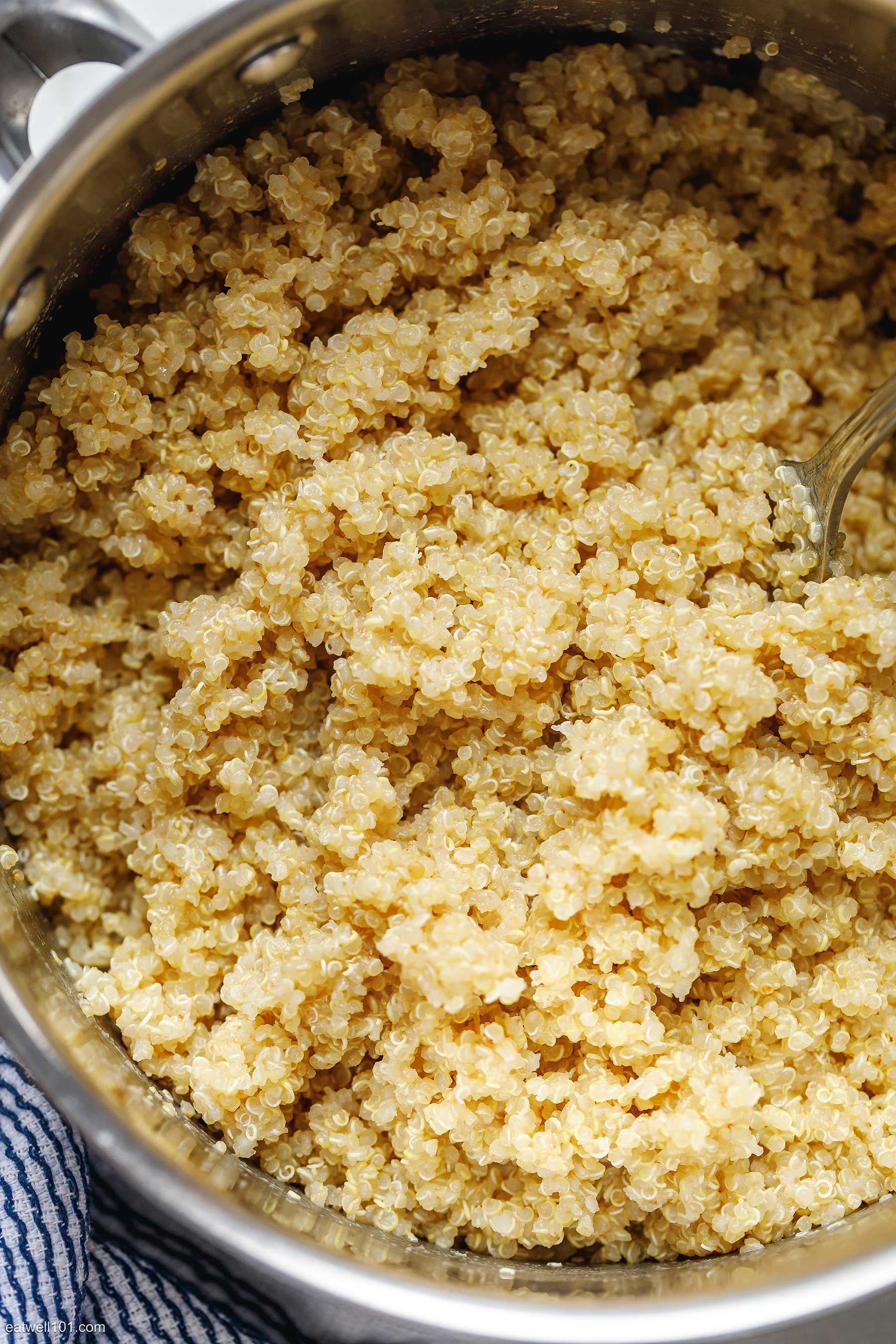 How to Cook Quinoa recipe