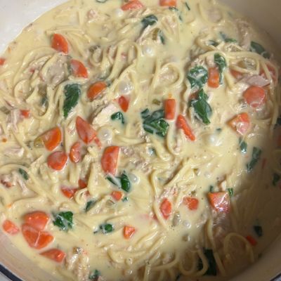 Creamy Chicken Soup with Pasta and Spinach