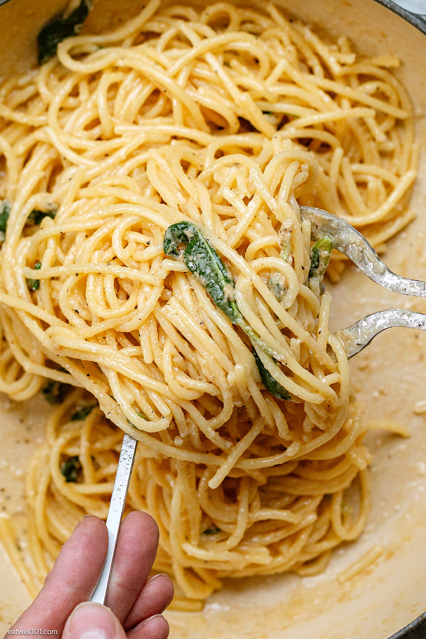 one pot pasta recipe