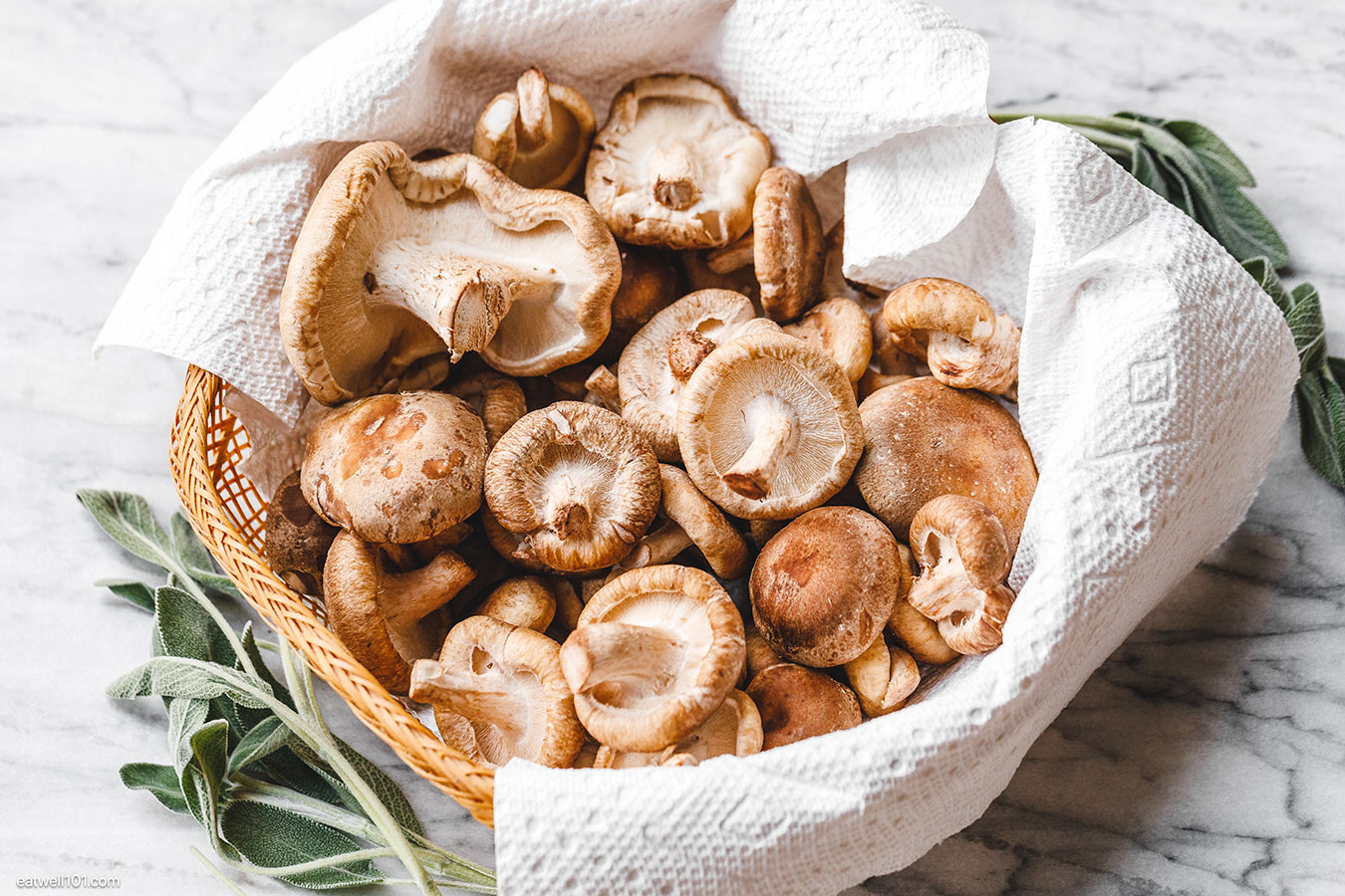 raw mushrooms