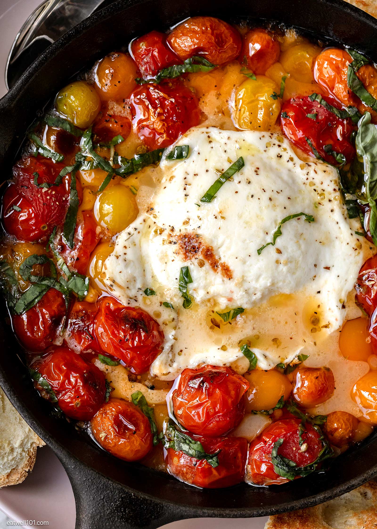 Roasted Tomatoes and Burrata appetizer