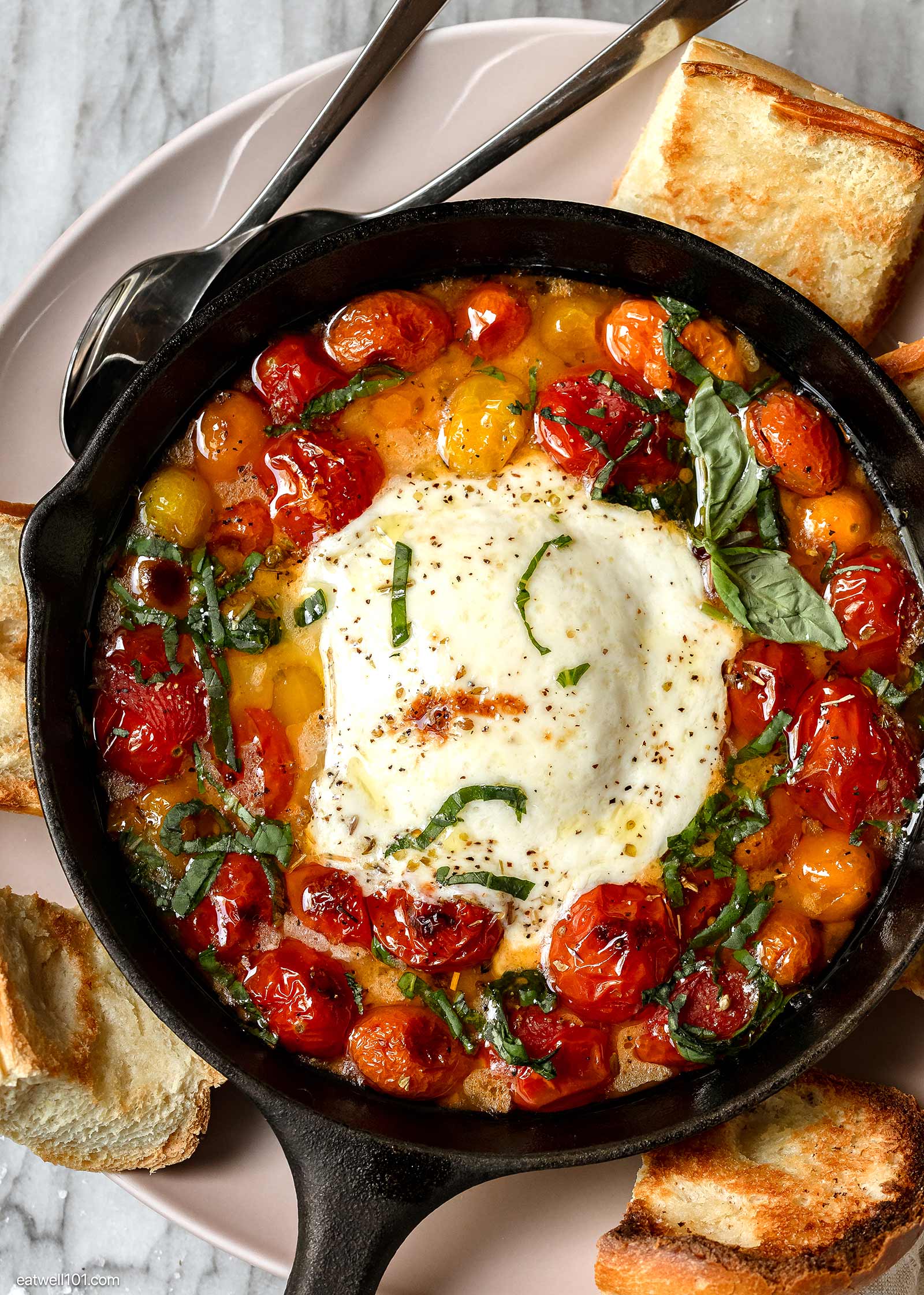 tomato burrata